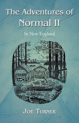 The Adventures of Normal II