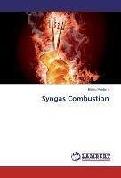 Syngas Combustion