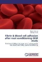 Fibrin & Blood cell adhesion after root conditioning-SEM study