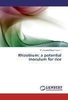 Rhizobium: a potential inoculum for rice