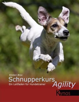 Schnupperkurs Agility