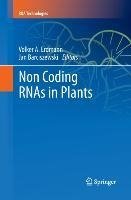 Non Coding RNAs in Plants