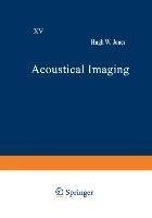 Acoustical Imaging