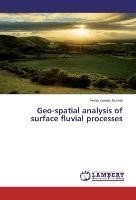 Geo-spatial analysis of surface fluvial processes