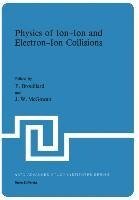 Physics of Ion-Ion and Electron-Ion Collisions