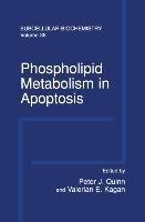 Phospholipid Metabolism in Apoptosis