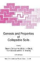 Genesis and Properties of Collapsible Soils