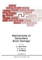 Mechanisms of Secondary Brain Damage