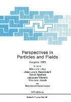 Perspectives in Particles and Fields