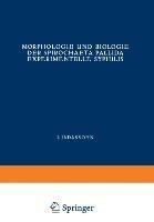 Morphologie und Biologie der Spirochaeta Pallida Experimentelle Syphilis