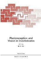 Photoreception and Vision in Invertebrates