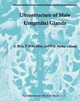 Ultrastructure of the Male Urogenital Glands
