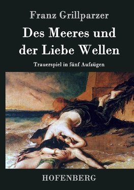 Des Meeres und der Liebe Wellen