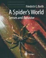 A Spider's World