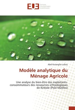 Modèle analytique du Ménage Agricole