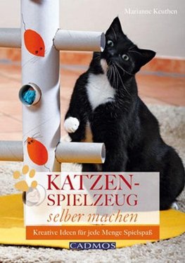 Katzenspielzeug selbst machen