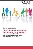 Prevención Comunitaria del Delito ¿es posible?