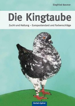 Die Kingtaube