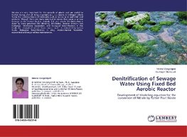 Denitrification of Sewage Water Using Fixed Bed Aerobic Reactor