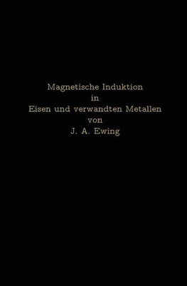 Magnetische Induktion in Eisen und verwandten Metallen