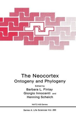 The Neocortex