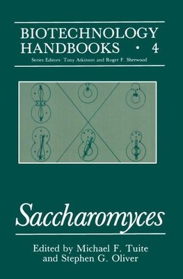 Saccharomyces