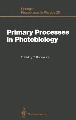 Primary Processes in Photobiology