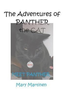 The Adventures of Panther the Cat