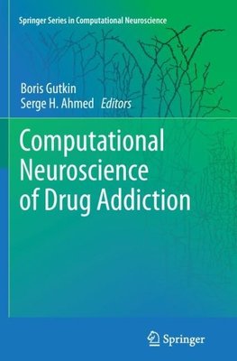 Computational Neuroscience of Drug Addiction