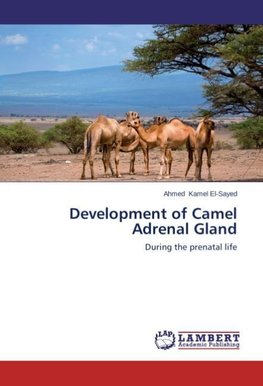 Development of Camel Adrenal Gland