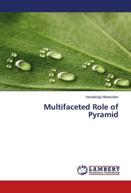 Multifaceted Role of Pyramid