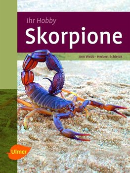 Skorpione