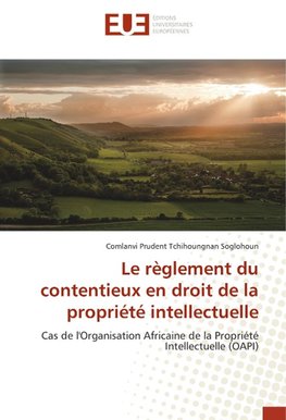 Le règlement du contentieux en droit de la propriété intellectuelle