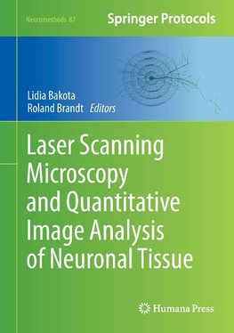 Laser Scanning Microscopy and Quantitative Image Analysis of Neuronal Tissue