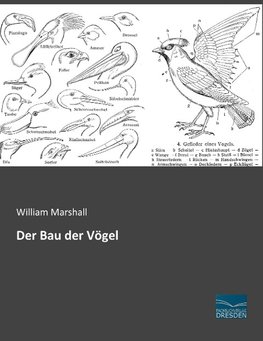 Der Bau der Vögel