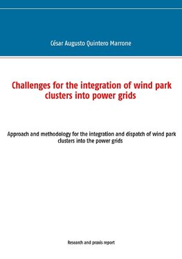 Challenges for the integration of wind park clusters into power grids