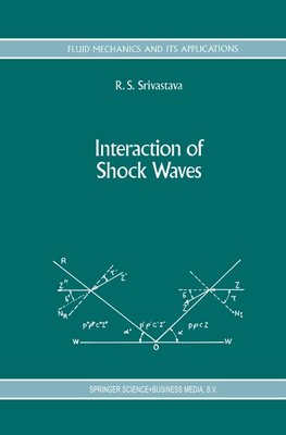 Interaction of Shock Waves