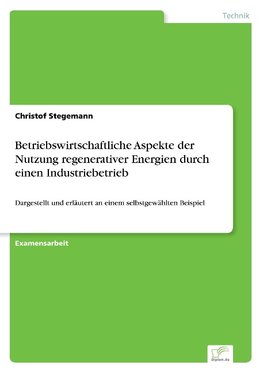 Betriebswirtschaftliche Aspekte der Nutzung regenerativer Energien durch einen Industriebetrieb