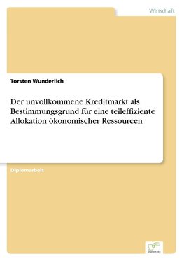 Der unvollkommene Kreditmarkt als Bestimmungsgrund für eine teileffiziente Allokation ökonomischer Ressourcen