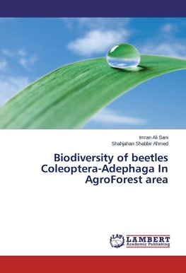 Biodiversity of beetles Coleoptera-Adephaga In AgroForest area