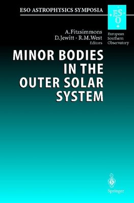 Minor Bodies in the Outer Solar System