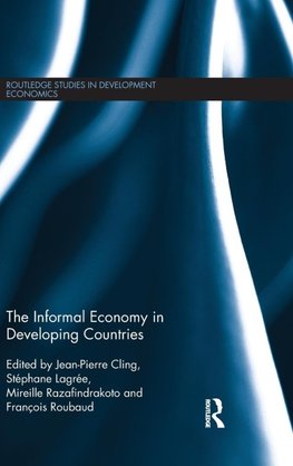 The Informal Economy in Developing Countries