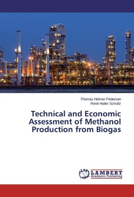 Technical and Economic Assessment of Methanol Production from Biogas