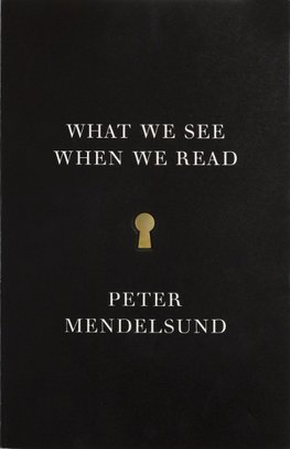 What We See When We Read