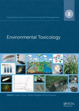 Engineering Tools for Environmental Risk Management