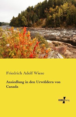 Ansiedlung in den Urwäldern von Canada