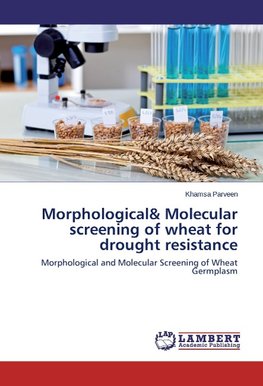 Morphological& Molecular screening of wheat for drought resistance