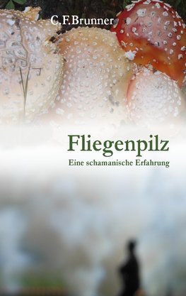 Fliegenpilz