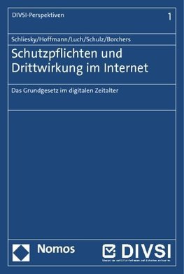 Schutzpflichten und Drittwirkung im Internet