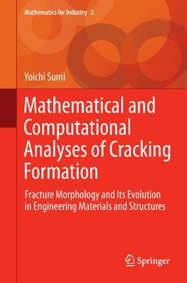 Mathematical and Computational Analyses of Cracking Formation